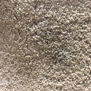 showing clean carpet after cloth and iron method