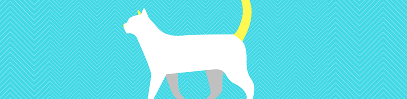 carpet cleaner to remove cat urine