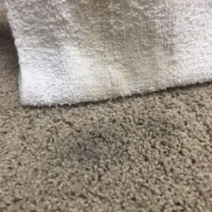 cloth-soaking-up-wax-from-carpet