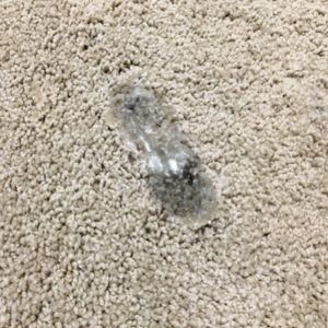 white wax spilled and dried on carpet