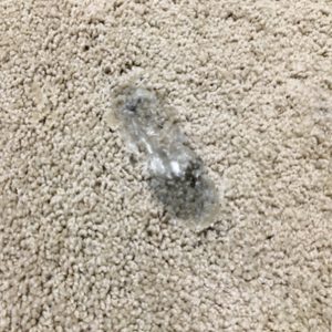 white wax spilled and dried on carpet