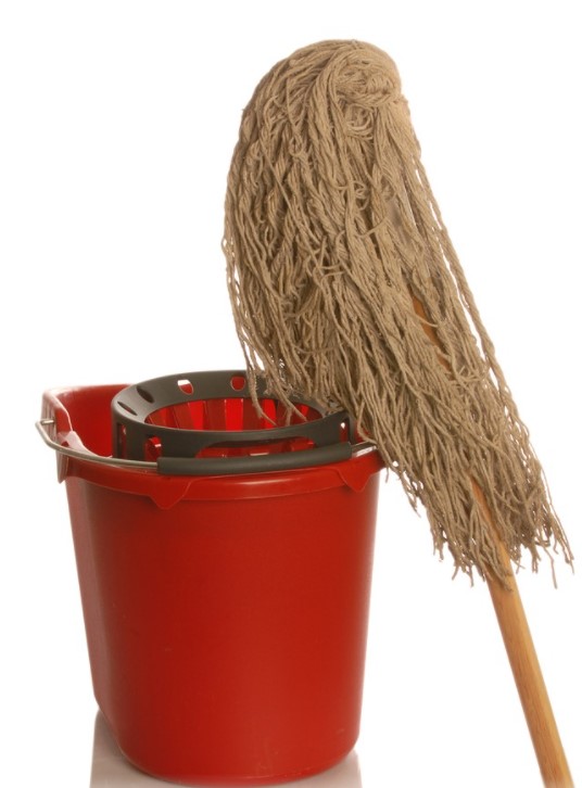 Sting mop and bucket